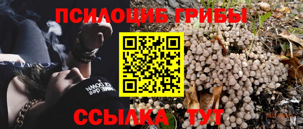 Галлюциногенные грибы GOLDEN TEACHER Усинск
